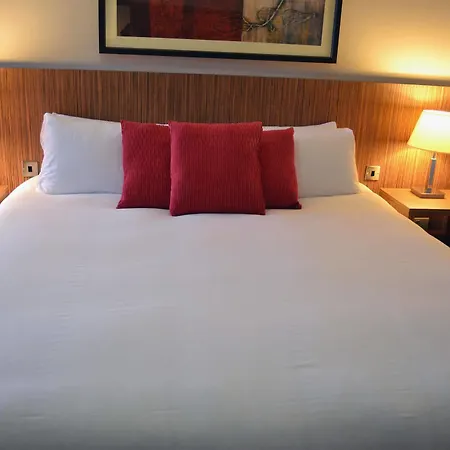 Forty Four Main Street 2*